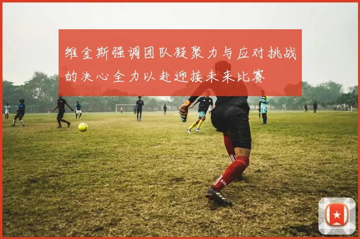 维金斯强调团队凝聚力与应对挑战的决心全力以赴迎接未来比赛