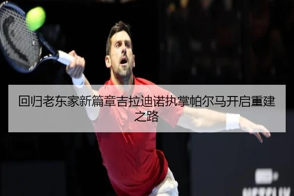 回归老东家新篇章吉拉迪诺执掌帕尔马开启重建之路 | hth